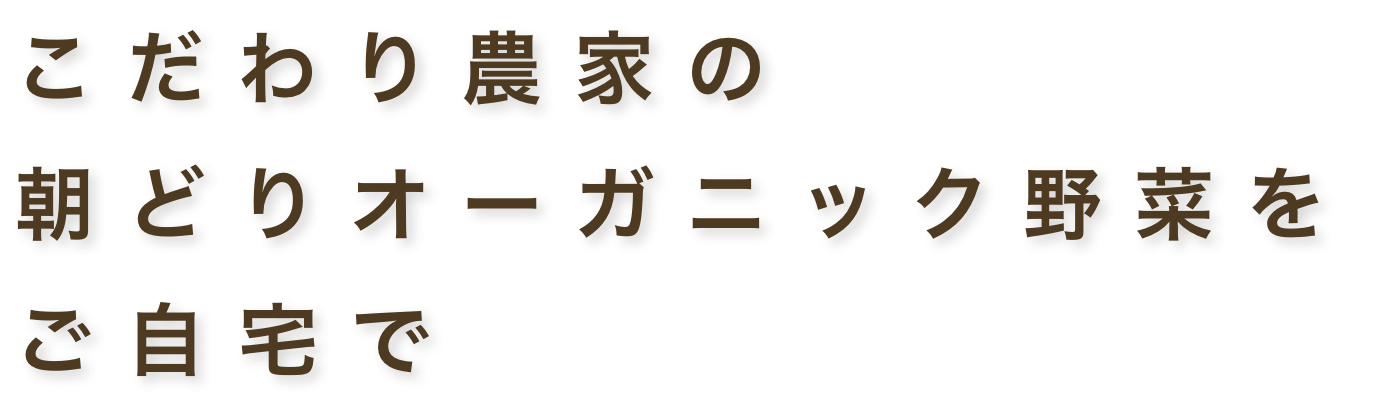 こだわり農家の朝どりオーガニック野菜をご自宅で